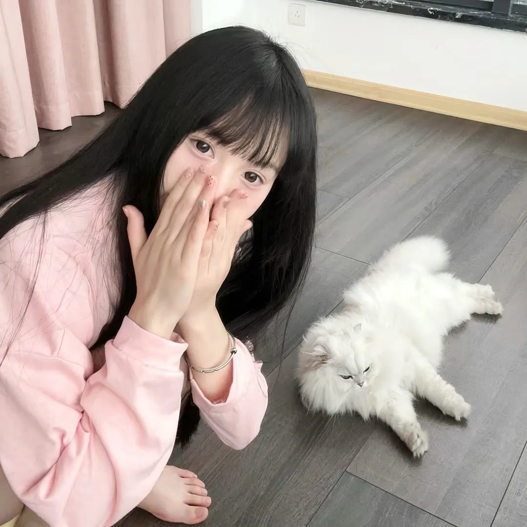 战龙哥斯拉之怪兽总进击